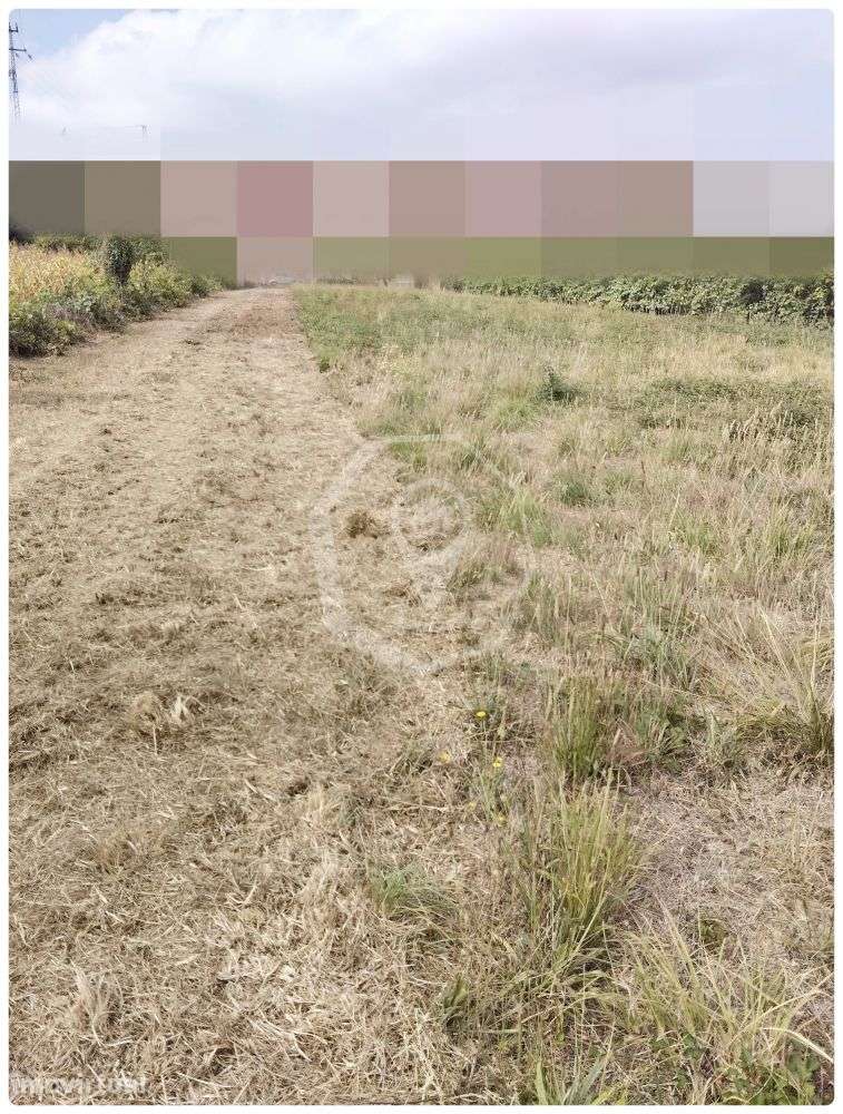 TERRENO PARA CONSTRUÇÃO - DUAS FRENTES! - Grande imagem: 5/5