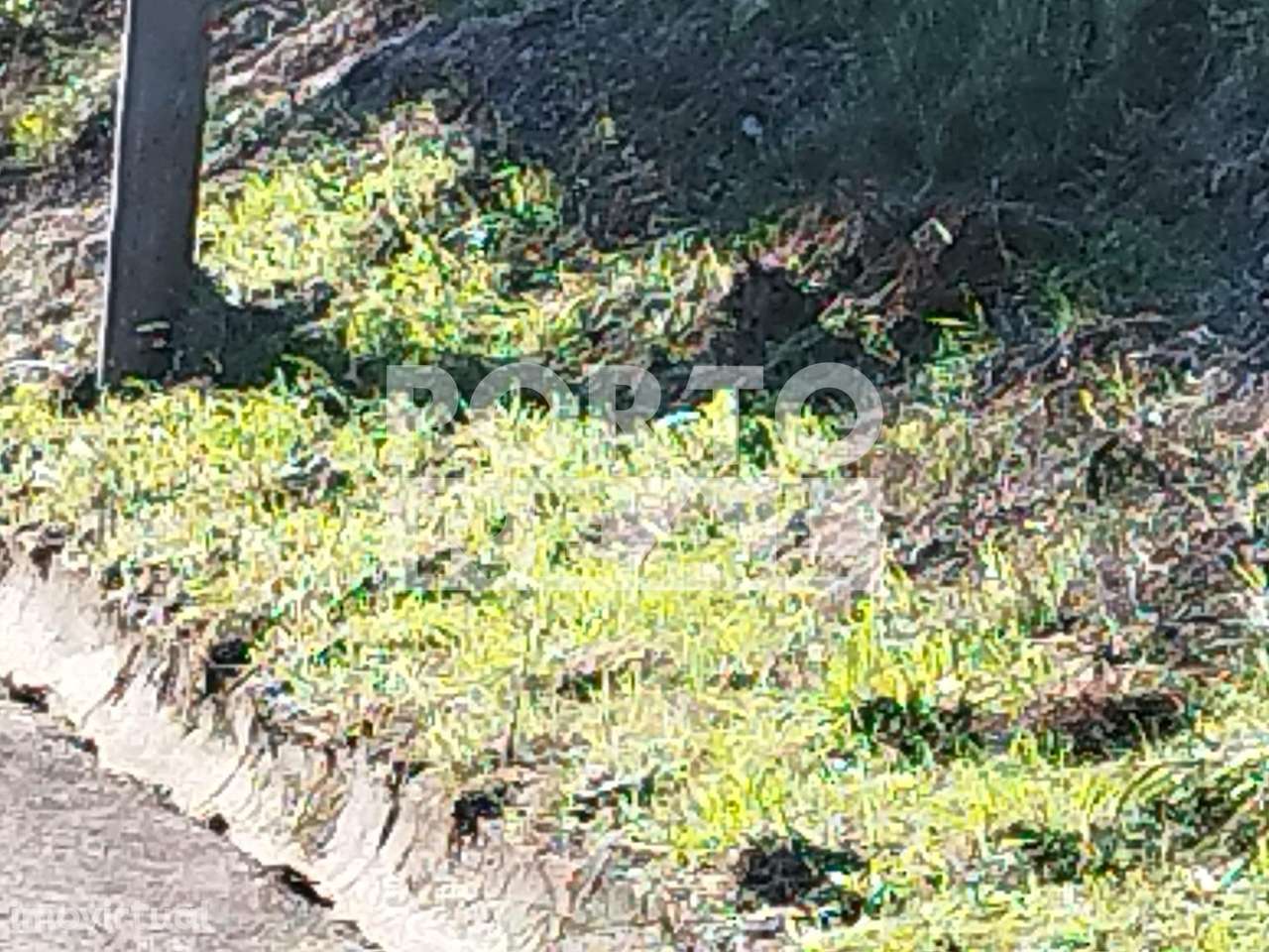 Terreno 3336m2  Sobreira - Paredes - Grande imagem: 3/19