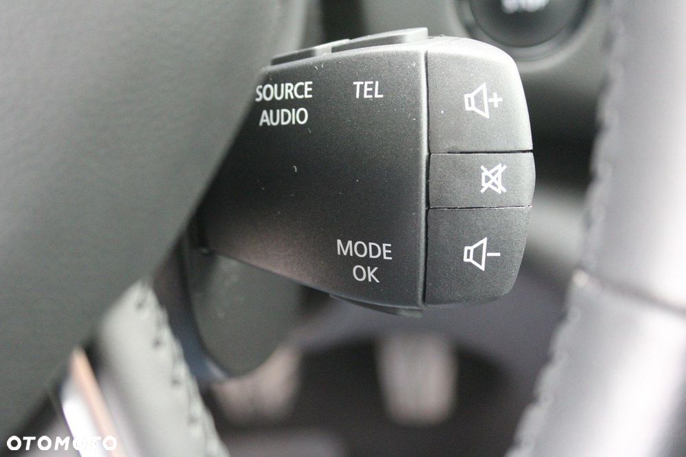 Renault Megane - 19