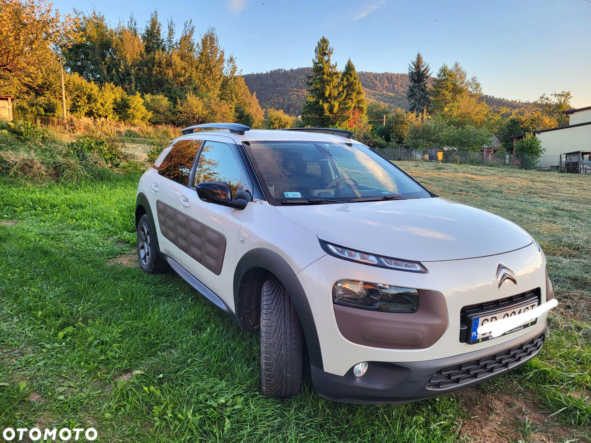 Citroën C4 Cactus - 2