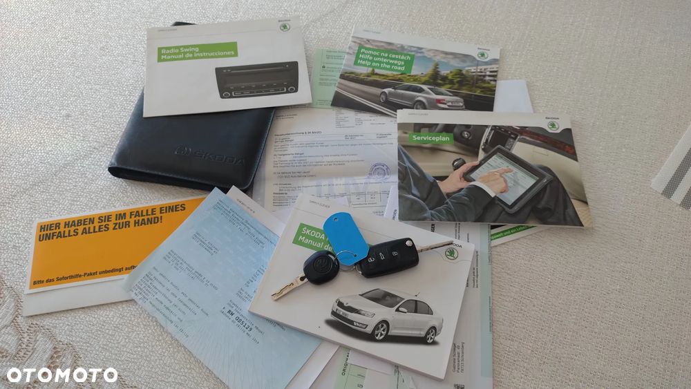 Skoda RAPID - 39