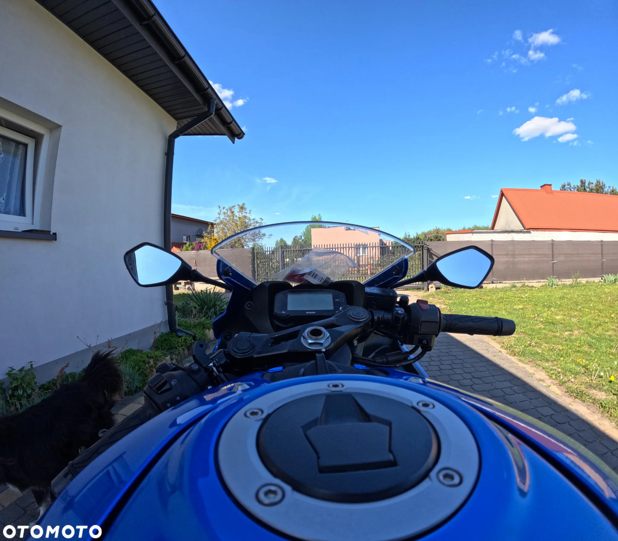 Suzuki GSX-R - 7