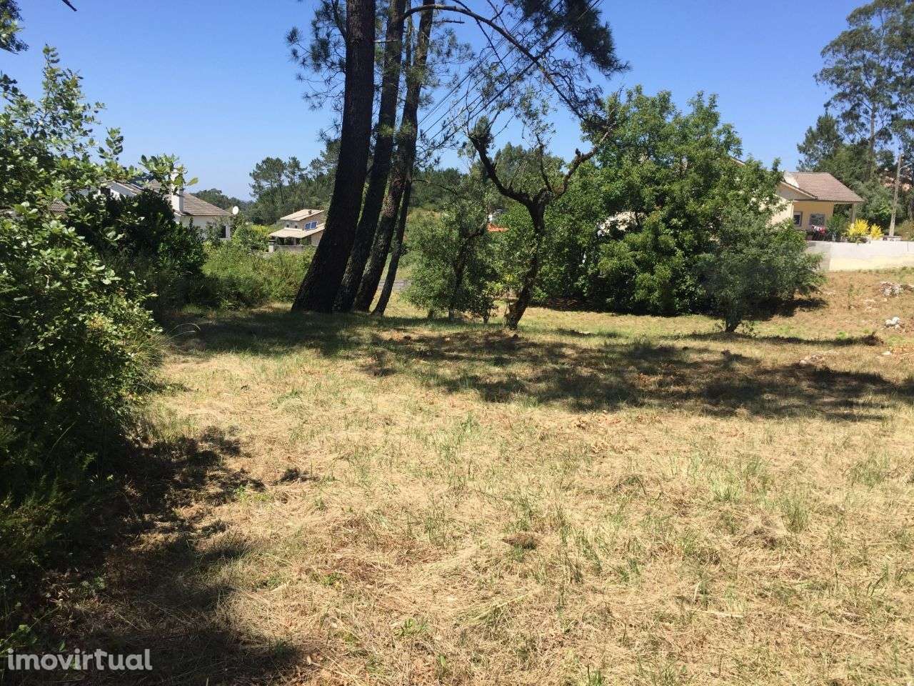 Terreno Para Construção em São Mamede - Grande imagem: 5/6