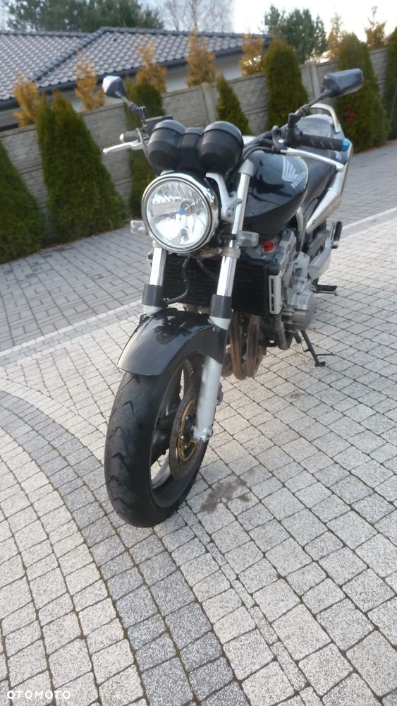 Honda Hornet - 10