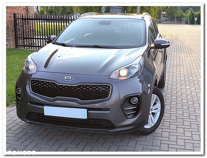 Kia Sportage 1.6 GDI Business Line 2WD - 10