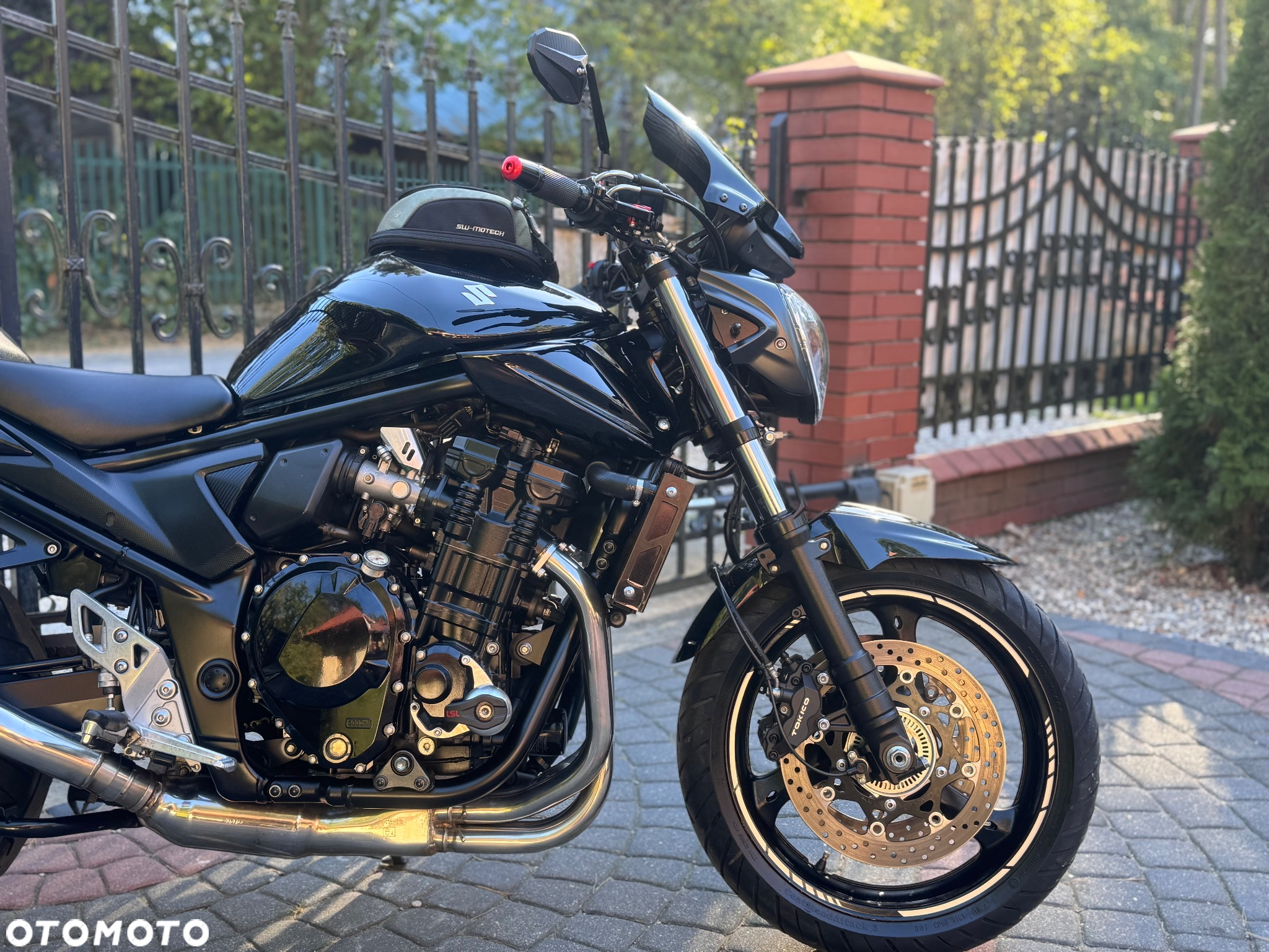 Suzuki Bandit - 10