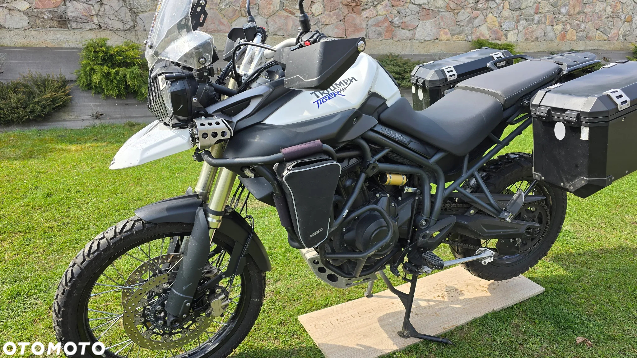 Triumph Tiger