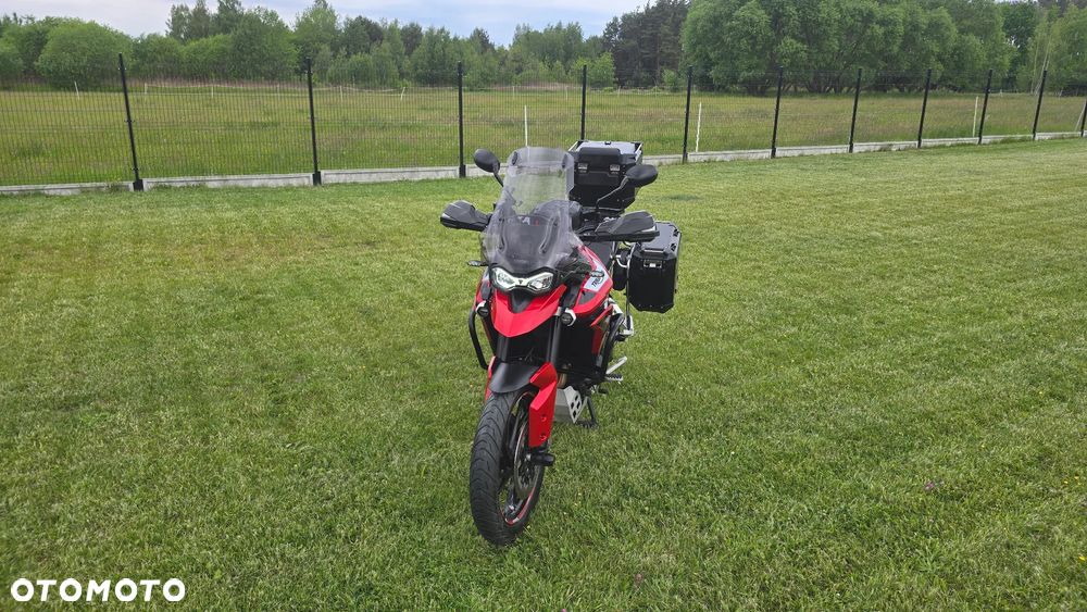 Triumph Tiger - 10