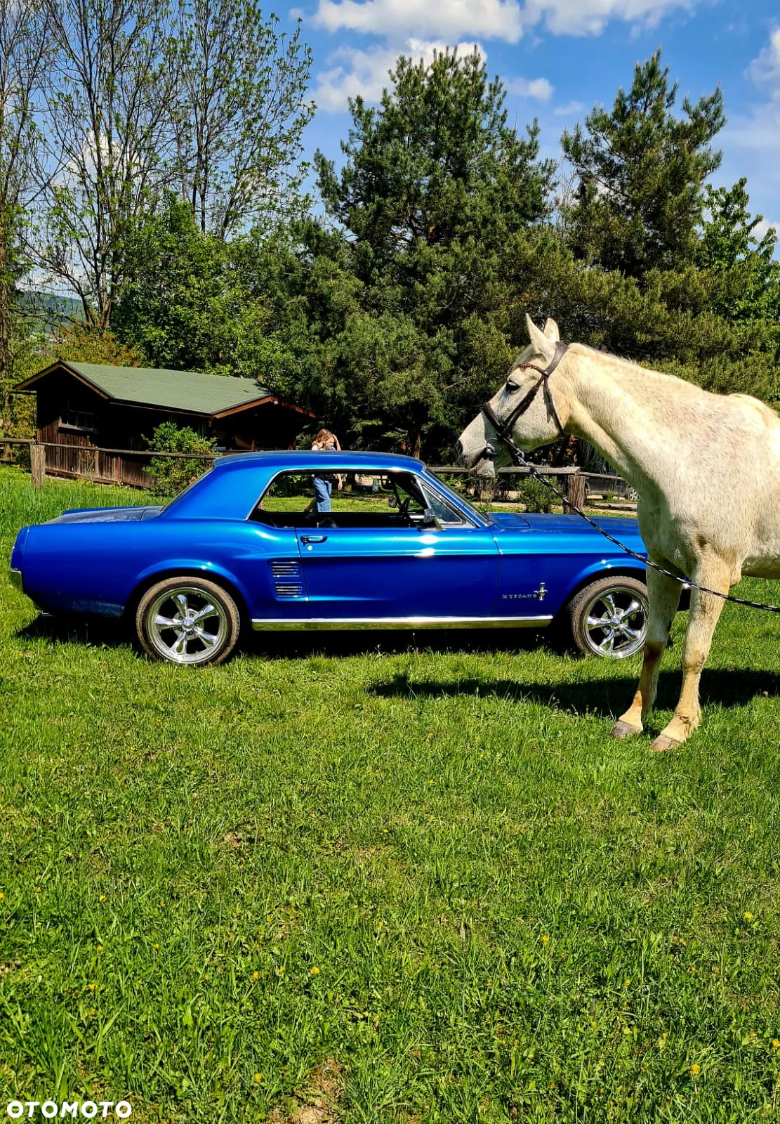 Ford Mustang - 8