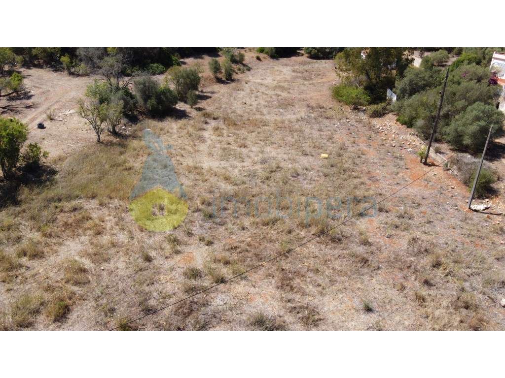 Lote no Parchal - Grande imagem: 2/11