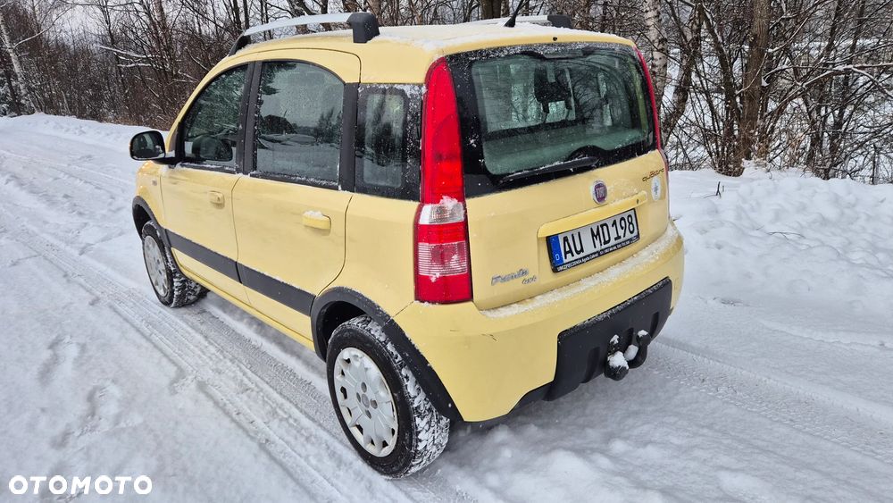 Fiat Panda 1.2 4x4 Climbing - 3