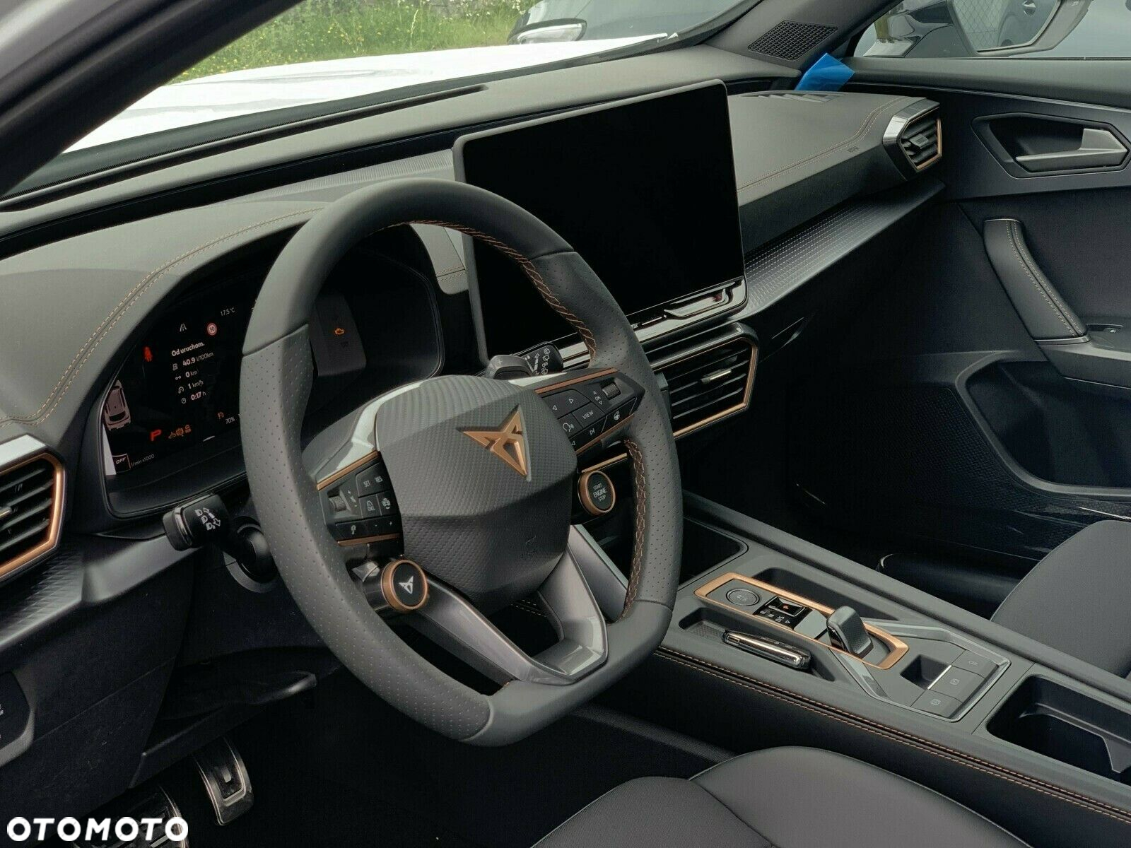 Cupra Formentor 1.5 eTSI mHEV DSG - 15