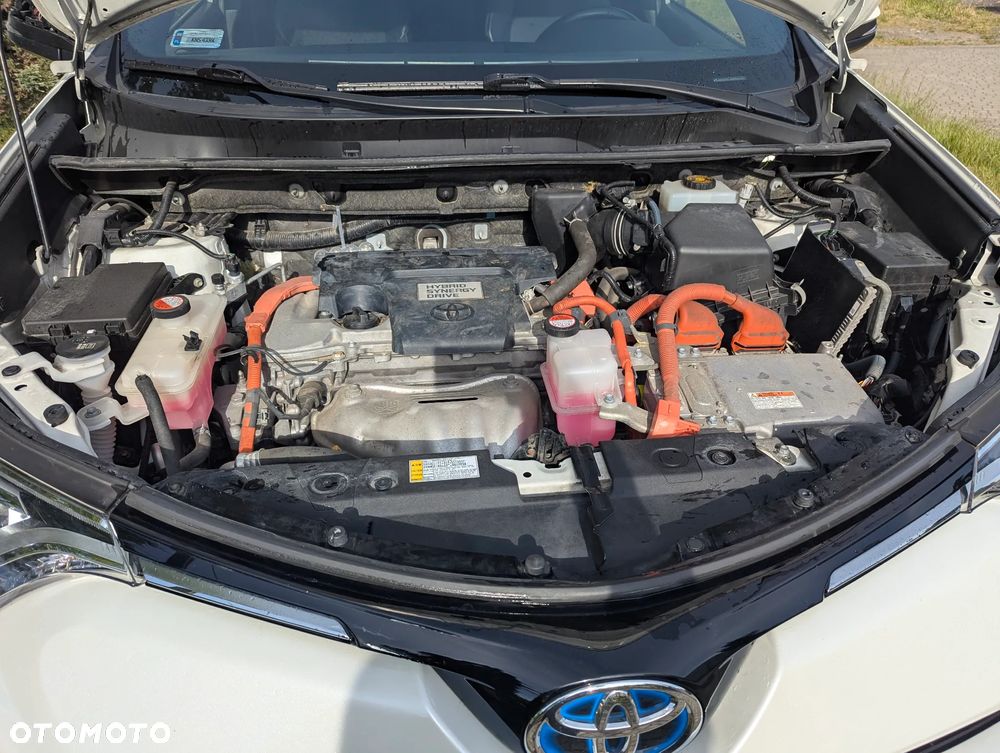 Toyota C-HR - 10