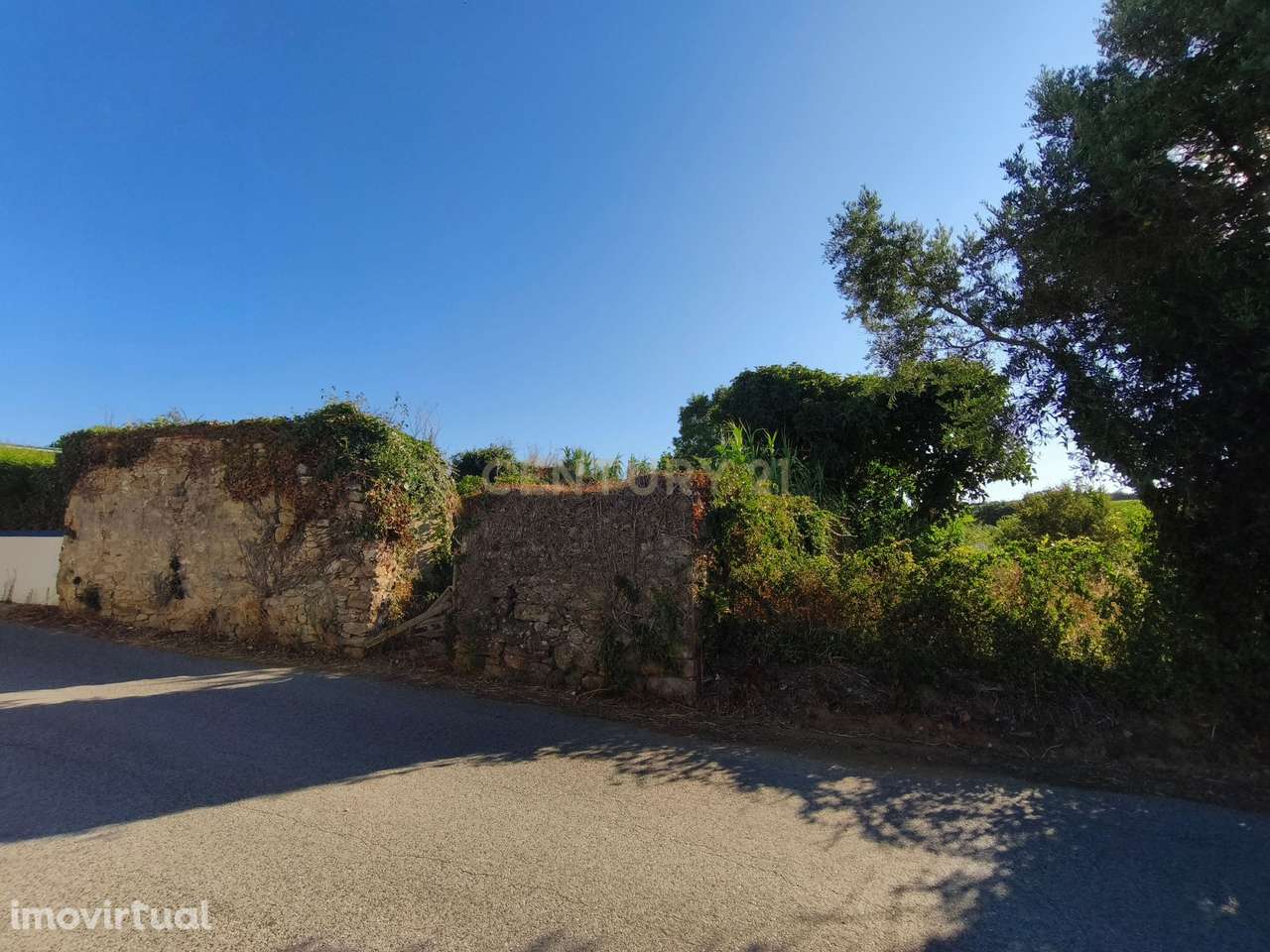 Terreno rustico na Merceana com 3800m2 - Grande imagem: 2/19