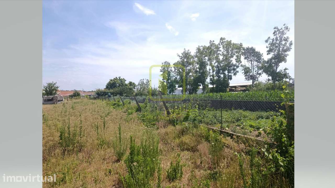 Terreno para Construção em Eixo - Grande imagem: 4/7
