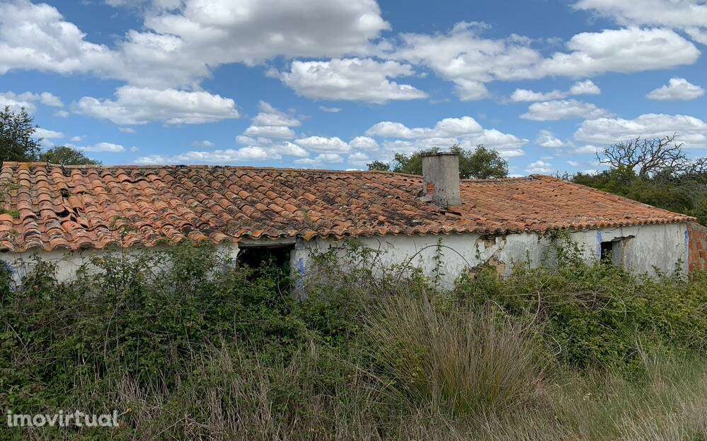 Quintinha no Alentejo - Grande imagem: 3/11