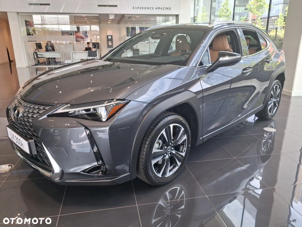 Lexus UX 300h Business - 2