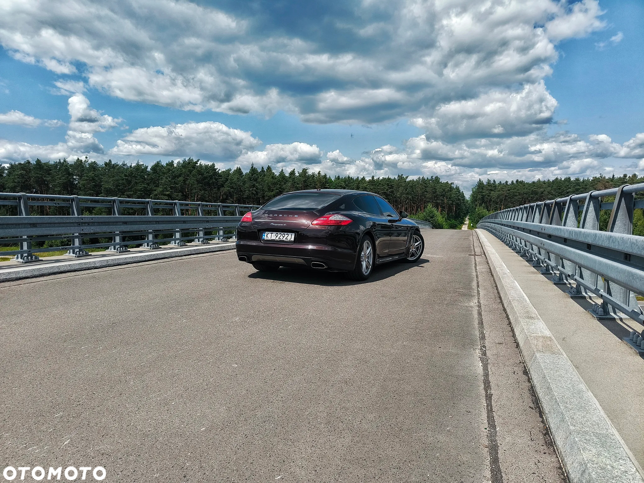 Porsche Panamera 4 PDK Platinum Edition - 8