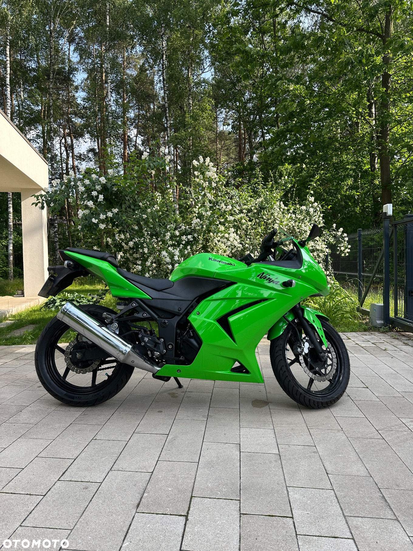Kawasaki Ninja 250R - 2