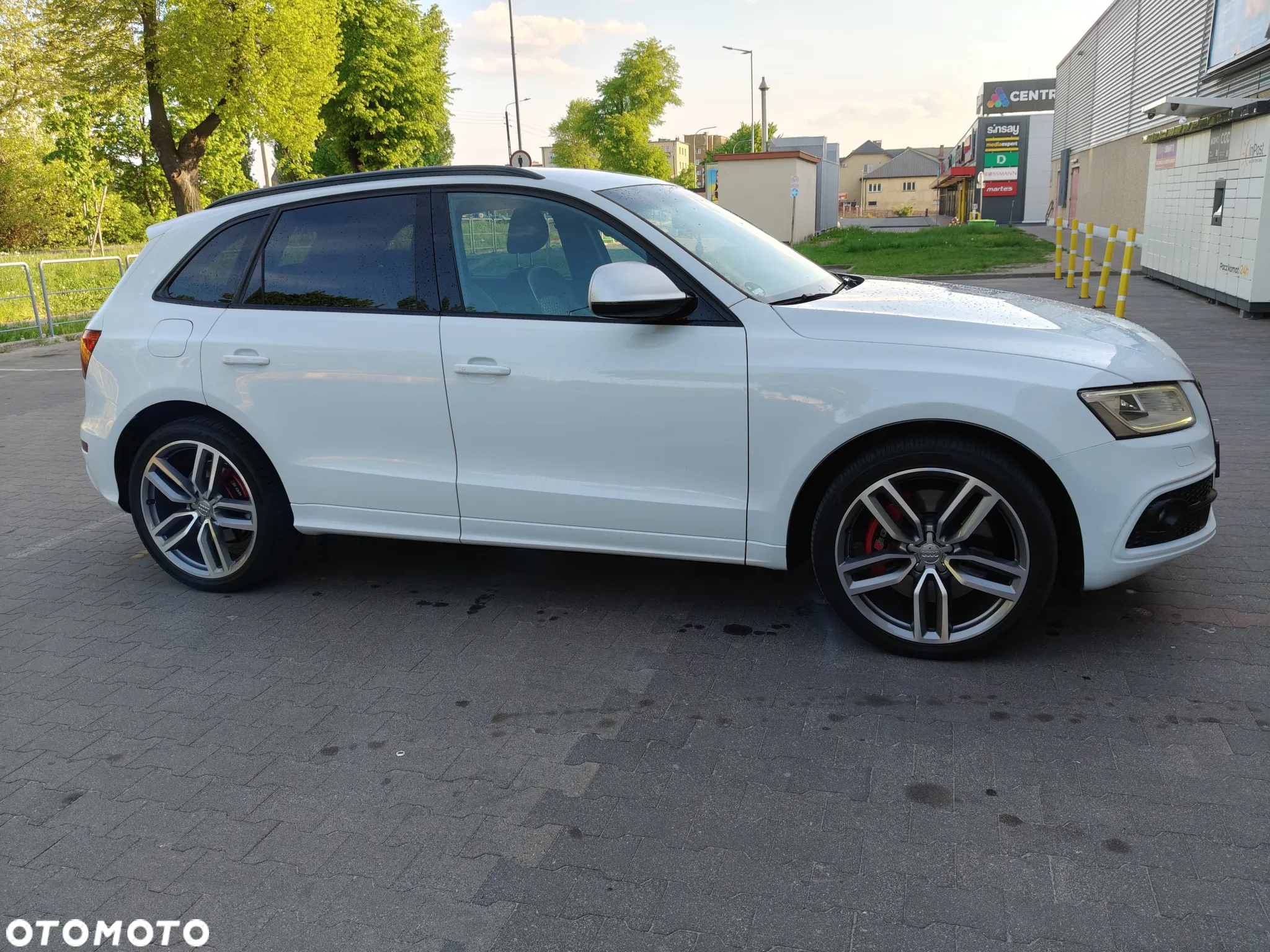 Audi SQ5 3.0 TDI Quattro Competition - 20
