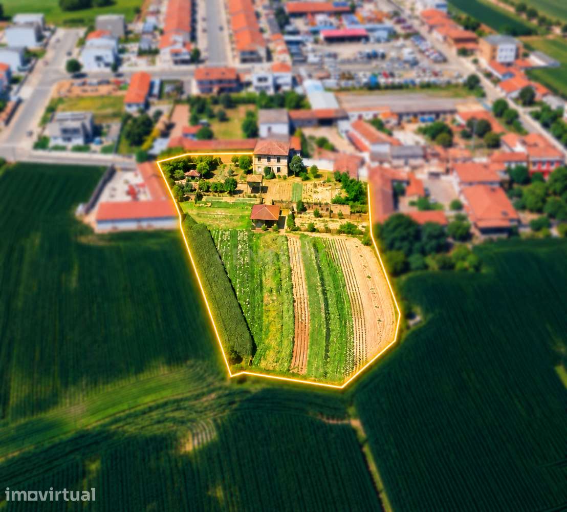Quintinha / Propriedade com cerca de 3.500 m² e 800 m² de construção | - Grande imagem: 5/43