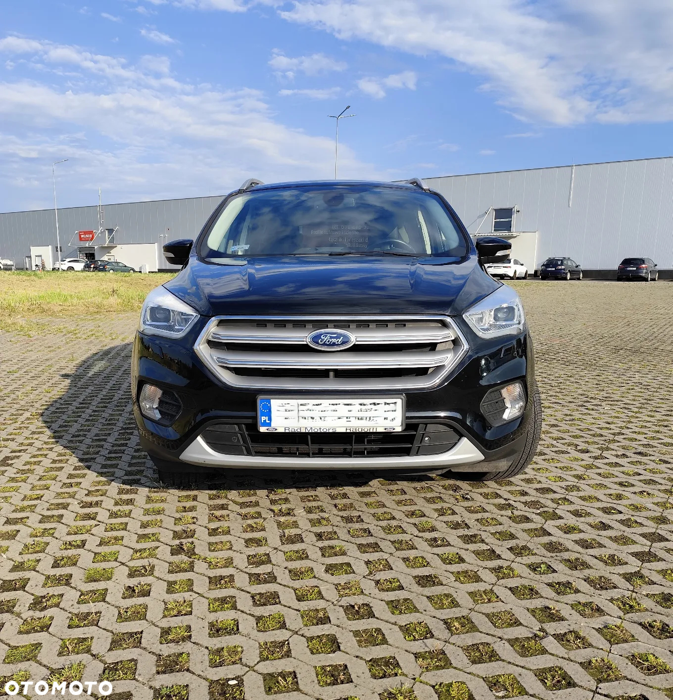 Ford Kuga 1.5 EcoBoost FWD Titanium Plus ASS - 2
