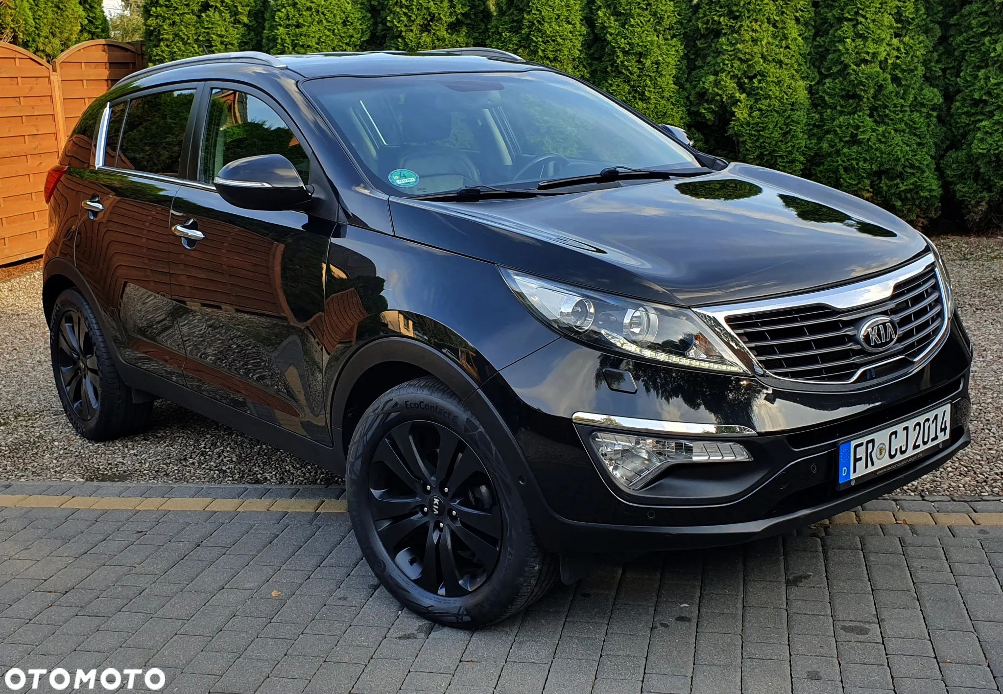 Kia Sportage - 1
