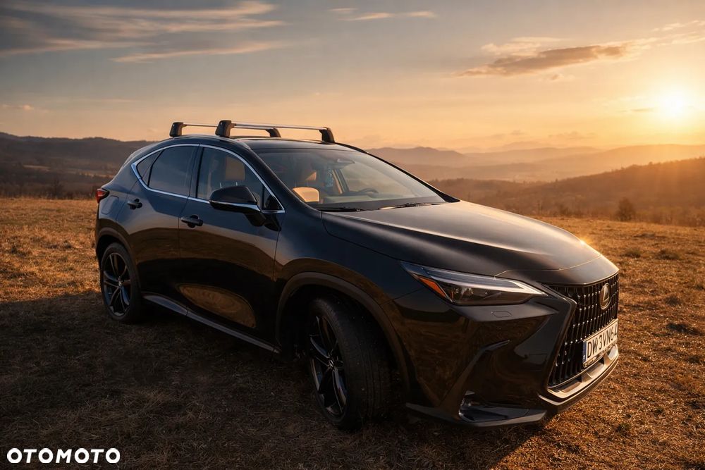 Lexus NX 450h+ Prestige AWD - 2