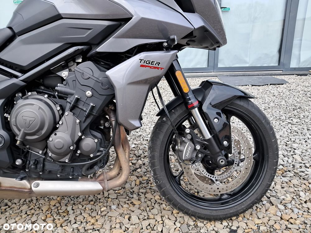 Triumph Tiger - 15