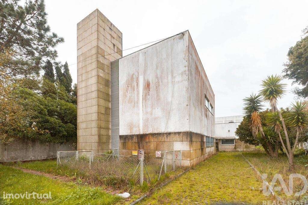 Prédio T20 em Árvore de 2241,00 m2 - Grande imagem: 4/30