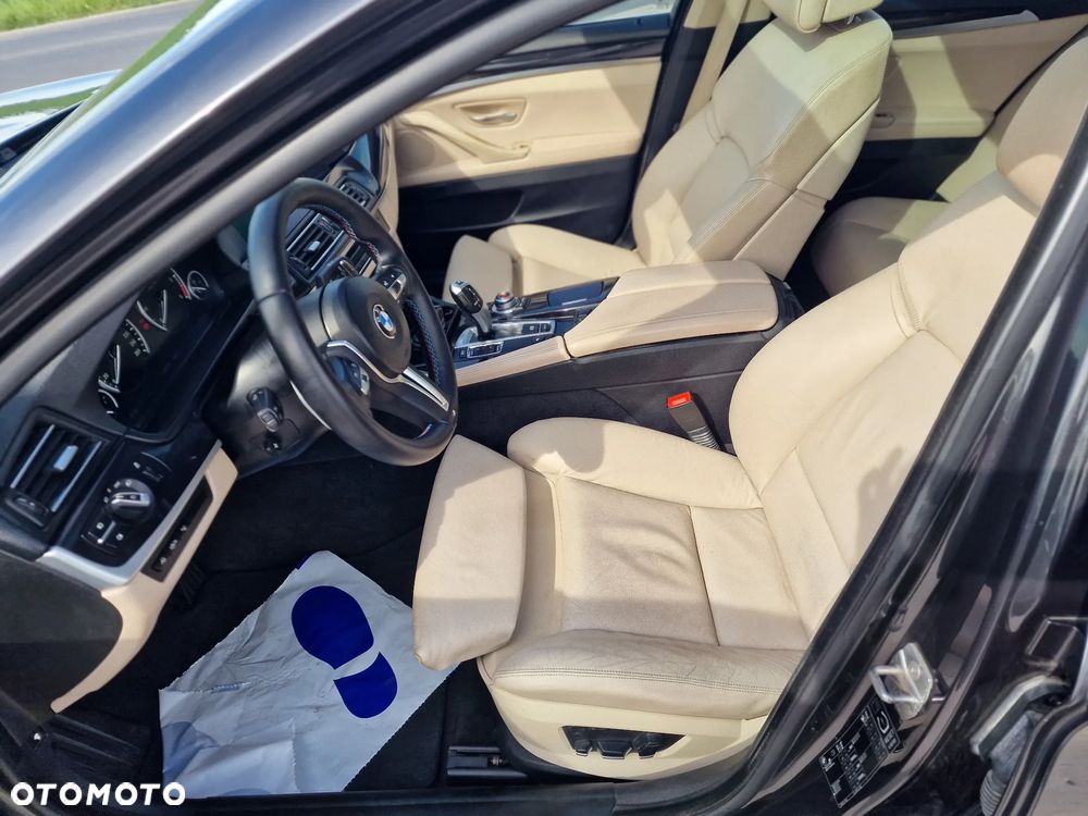BMW Seria 5 530d Blue Performance Sport-Aut - 19