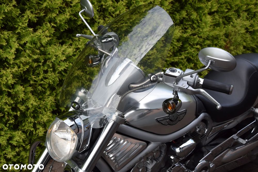 Harley-Davidson Softail V-Rod - 15