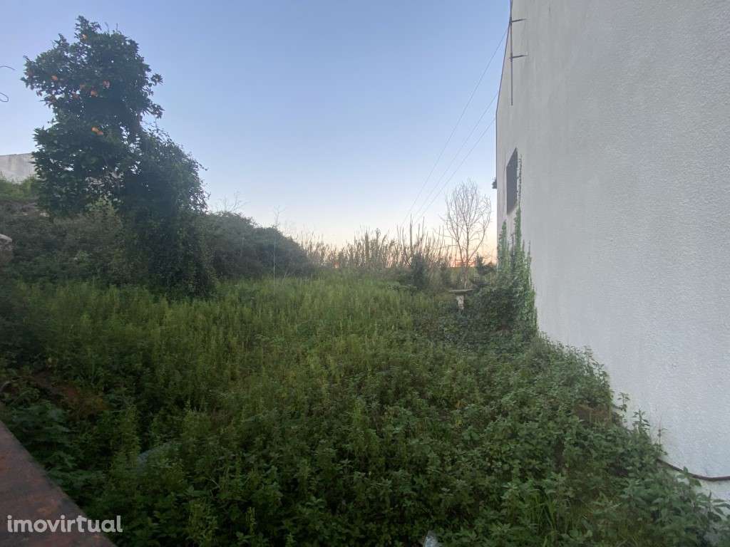 Terreno com 5.300 m² na Granja do Ulmeiro - Excelente Oportunidade! - Grande imagem: 4/8