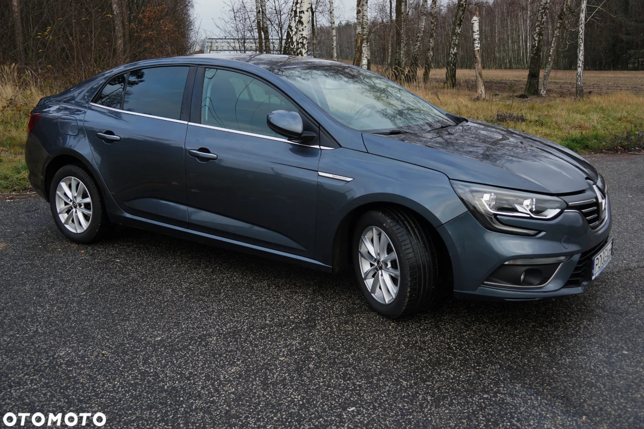 Renault Megane 1.2 Energy TCe Intens EDC - 12
