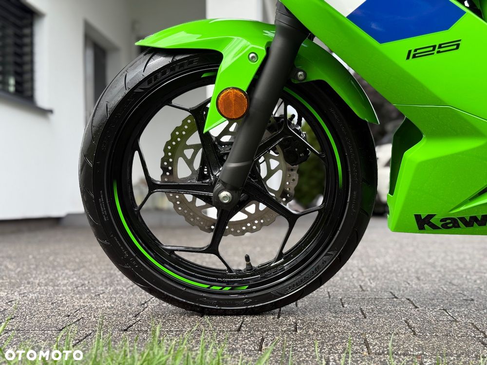 Kawasaki Ninja - 10