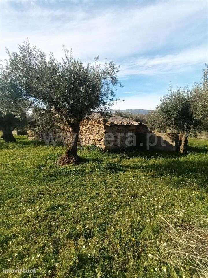 Quintinha / Fundão, Atalaia do Campo - Grande imagem: 3/20