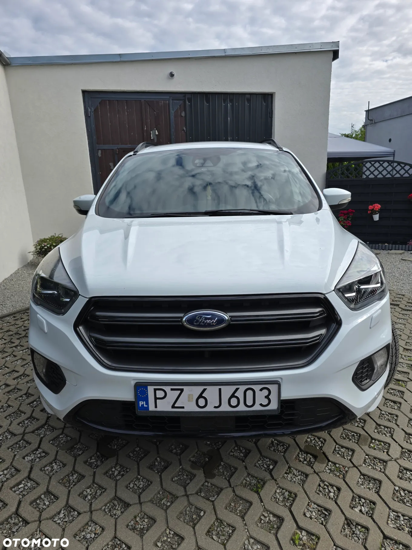 Ford Kuga 1.5 EcoBoost 4x4 ST-Line - 2
