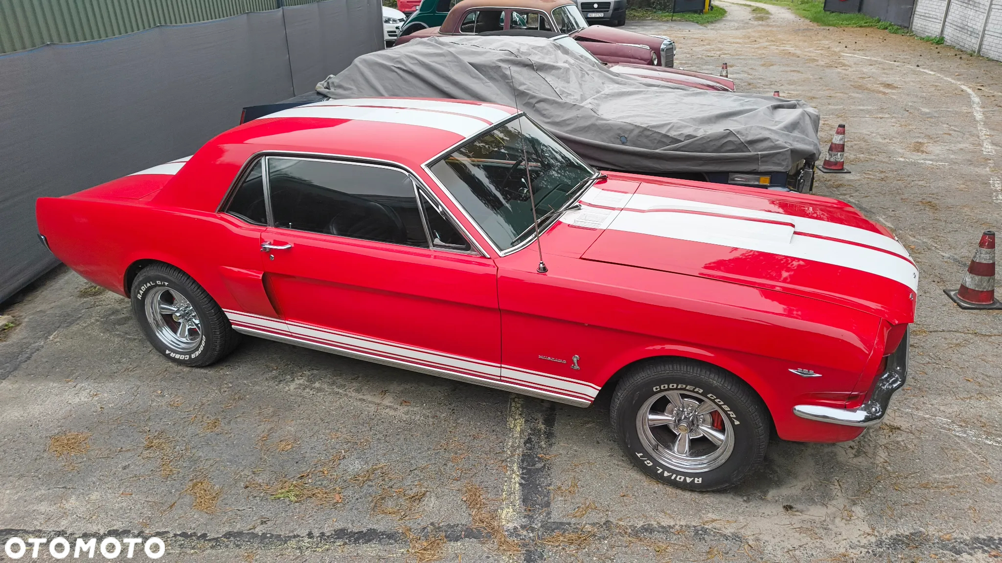 Ford Mustang - 12