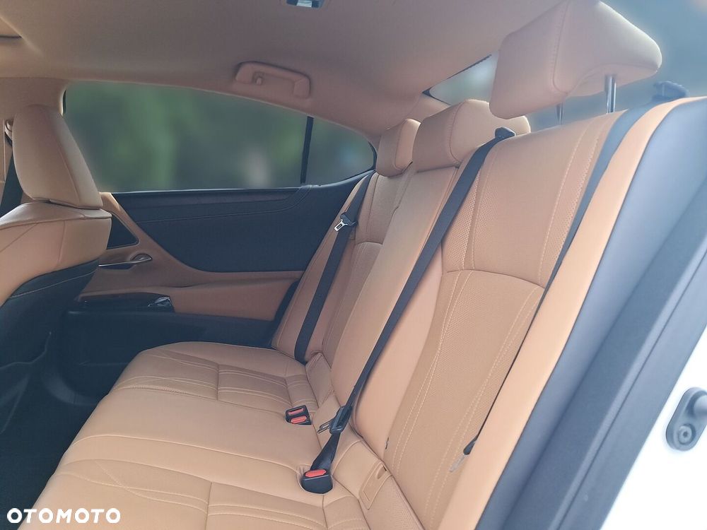 Lexus ES 300h Prestige - 14