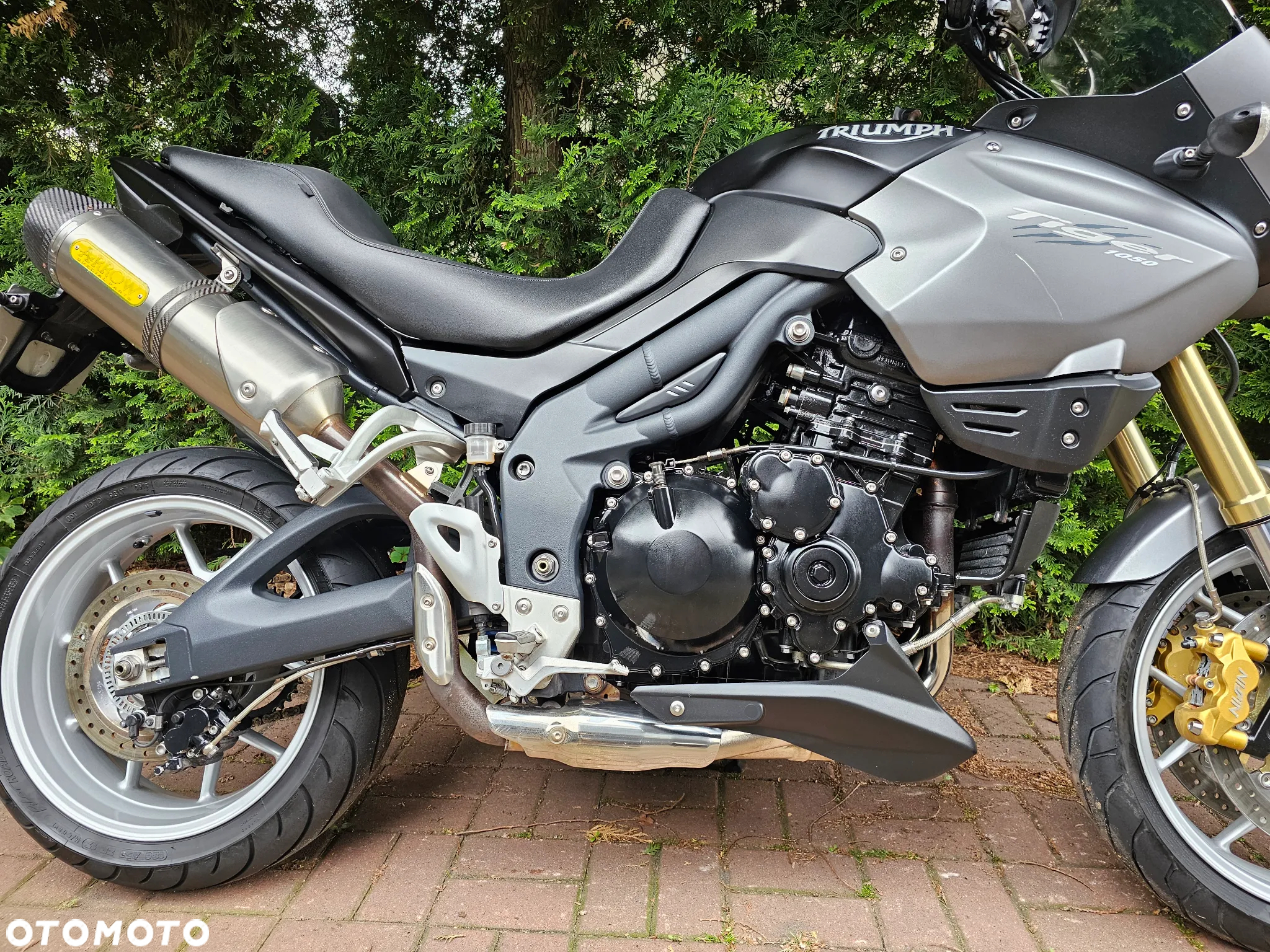 Triumph Tiger - 8