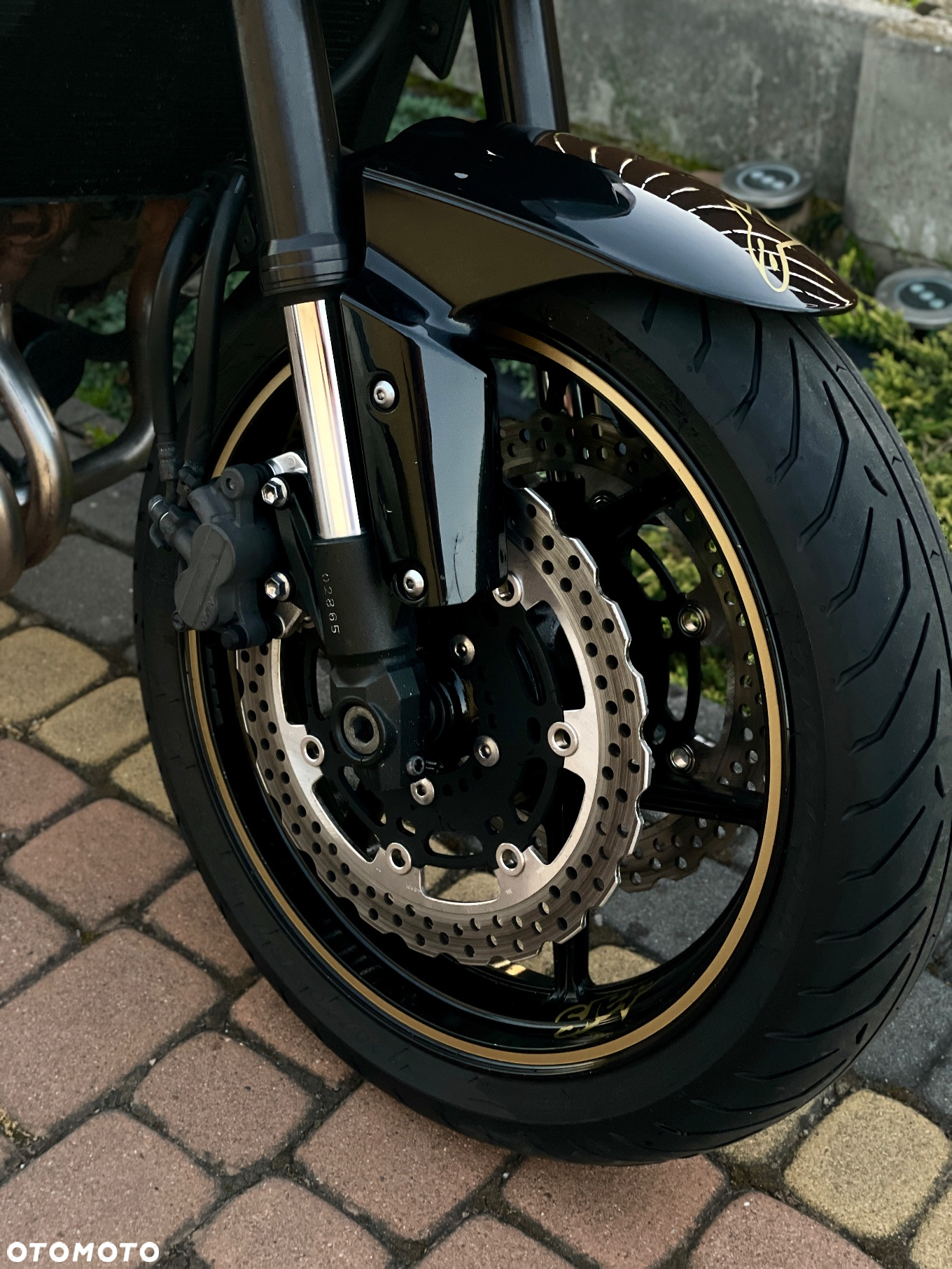 Kawasaki Z - 15