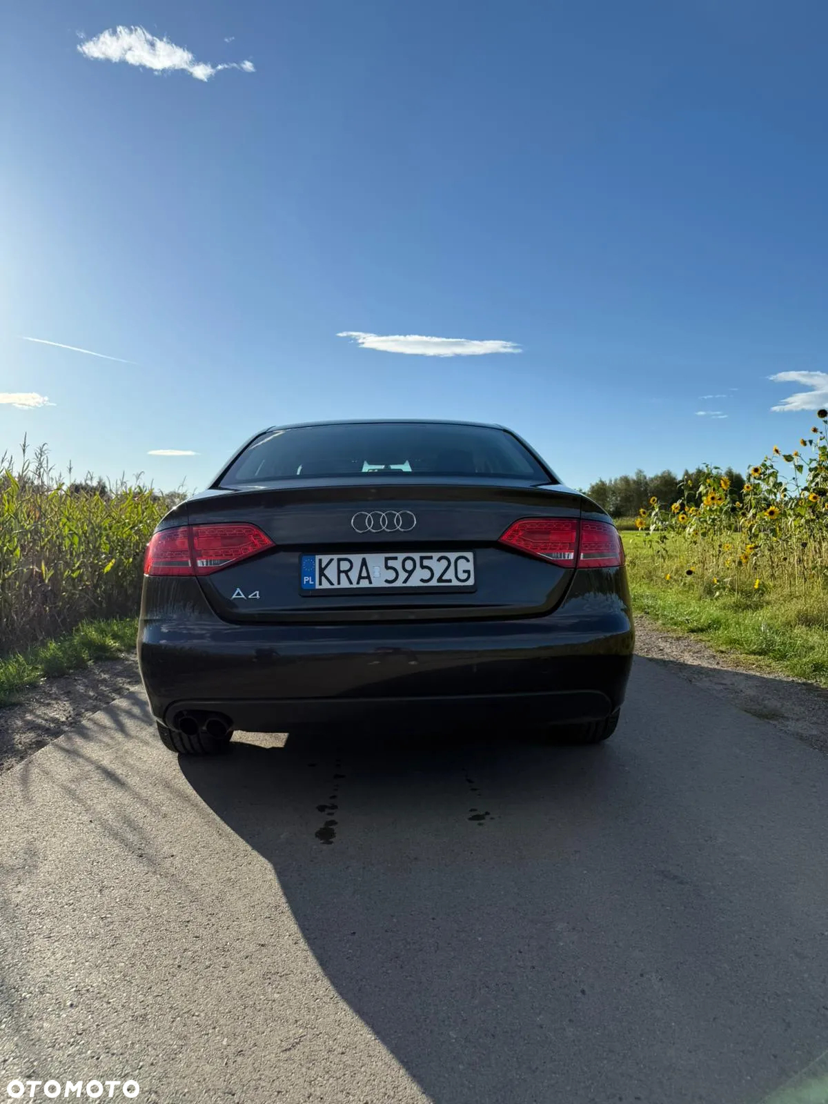 Audi A4 - 7
