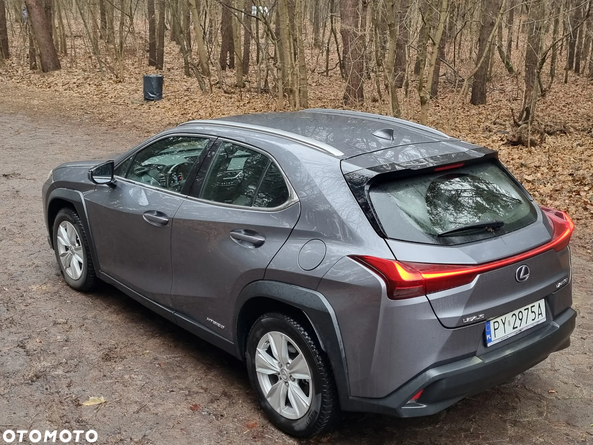 Lexus UX - 15