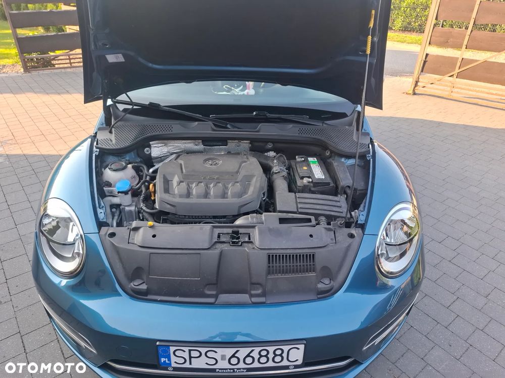 Volkswagen Beetle - 6