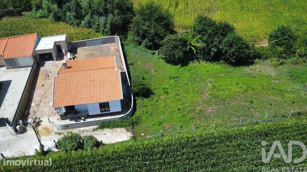 Moradia isolada T3 em Avanca de 100 m2 - Grande imagem: 2/21