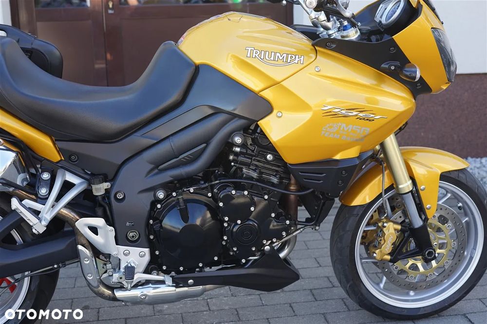 Triumph Tiger - 10