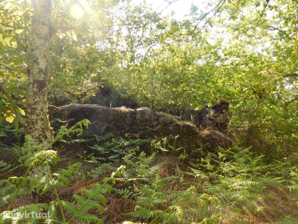 Terreno para construção. - Grande imagem: 3/4