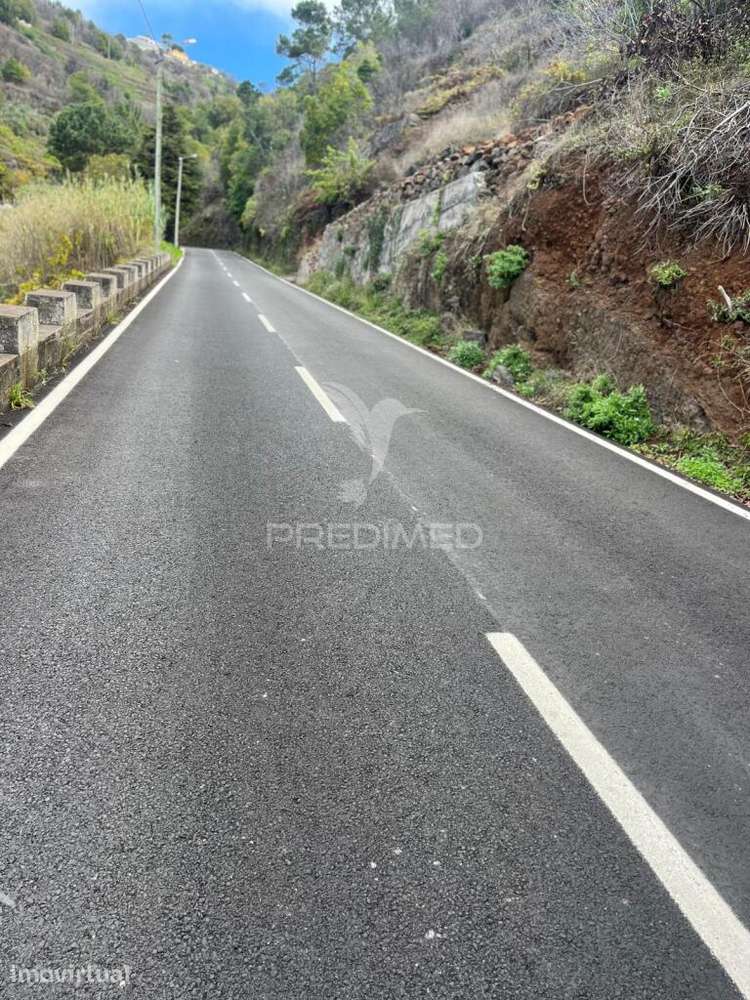 TERRENO COM 500M2 NA FAJÃ DA OVELHA-CALHETA - Grande imagem: 2/3