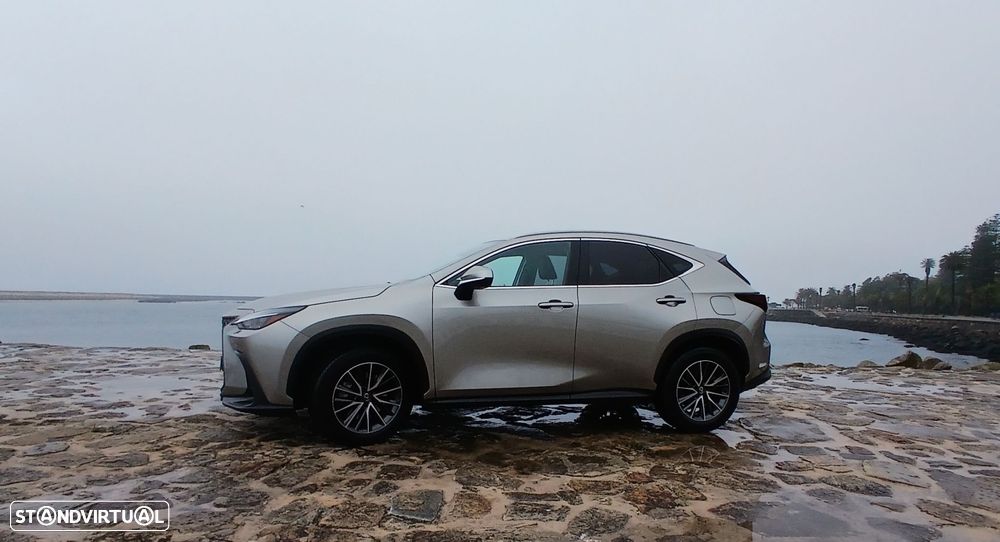 Lexus NX 450h+ - 1