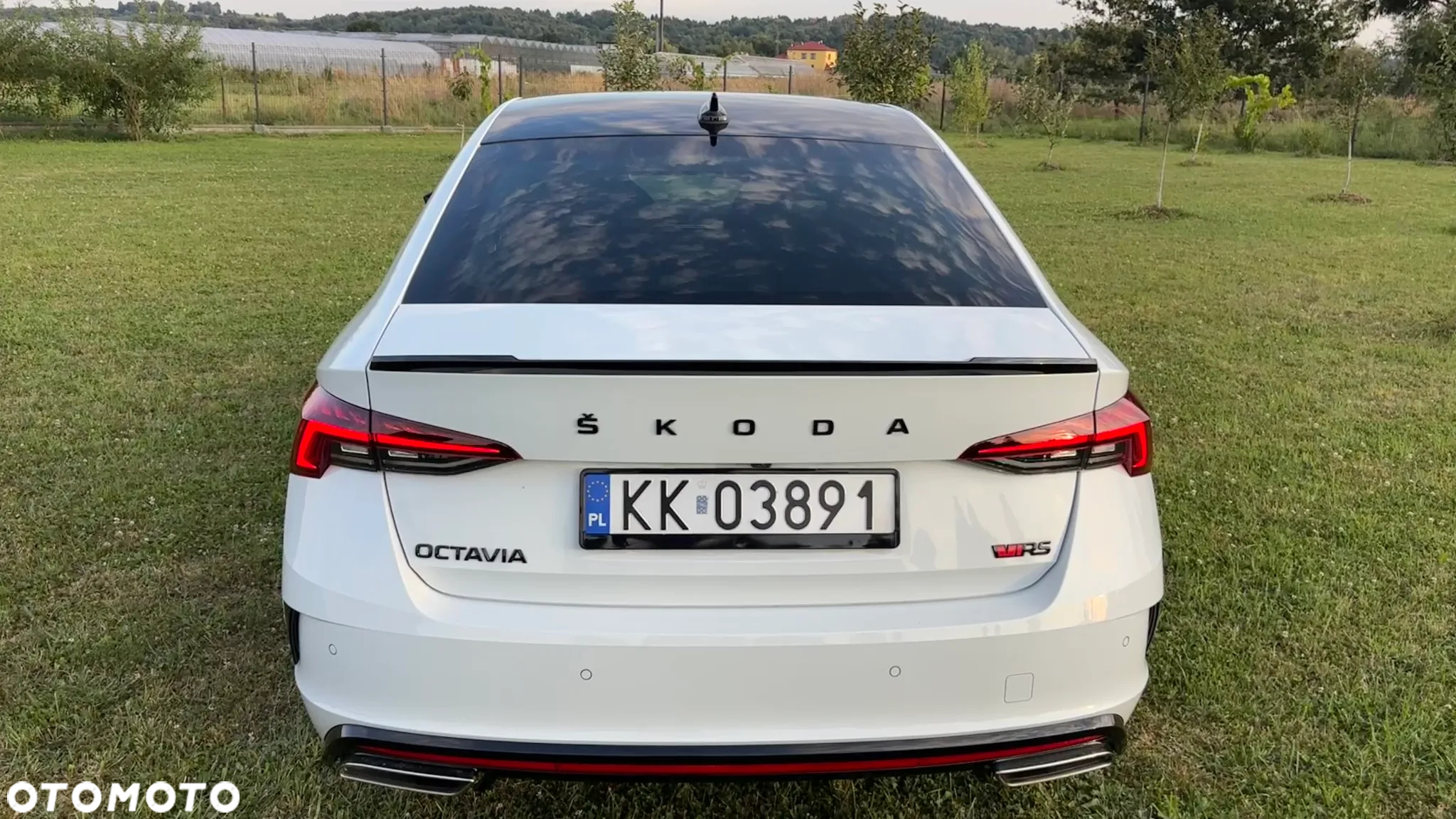 Skoda Octavia 2.0 TSI RS DSG - 7